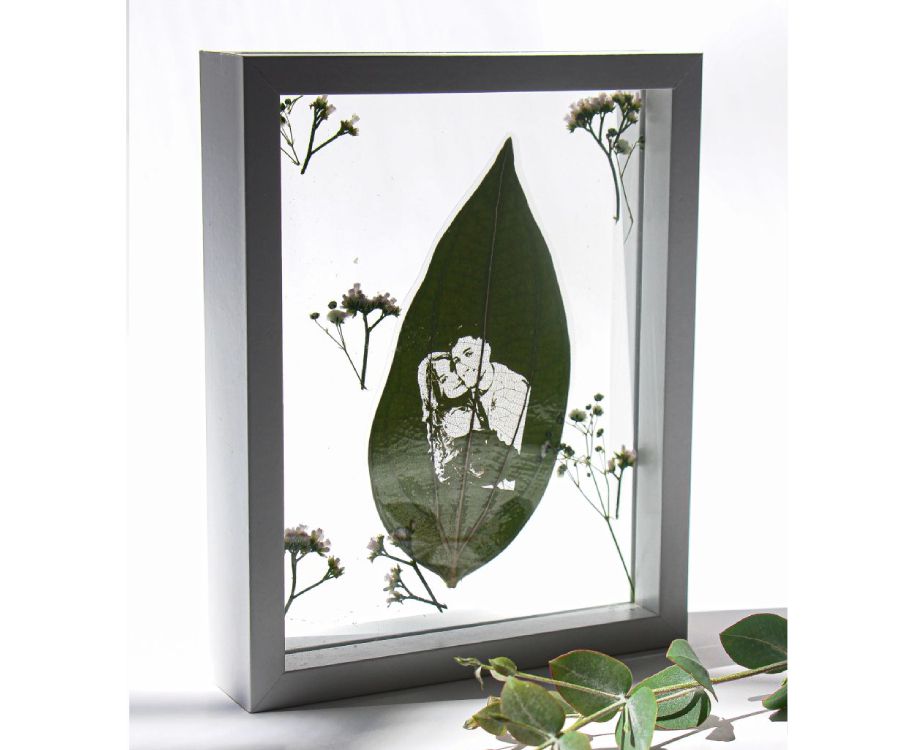 ���� �����