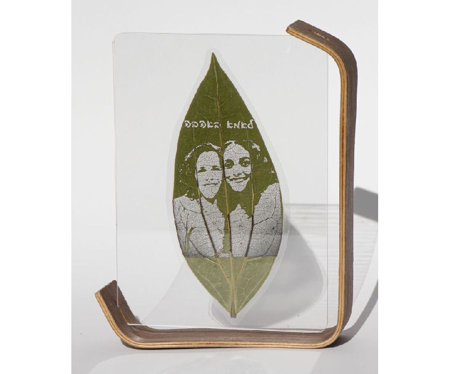 ���� ������