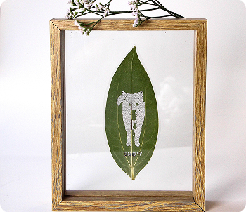 ���� ����